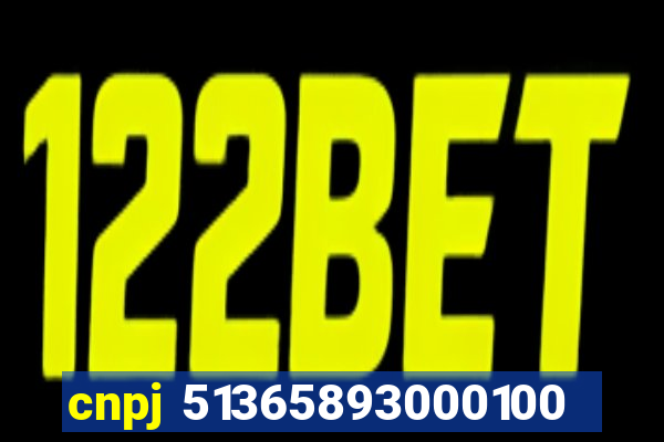 cnpj 51365893000100